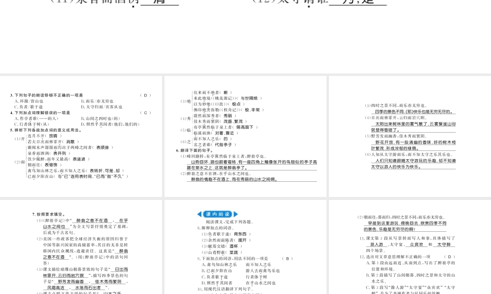 （广西专版）九年级语文上册 第三单元 第11课 醉翁亭记习题课件 新人教版-新人教版初中九年级上册语文课件