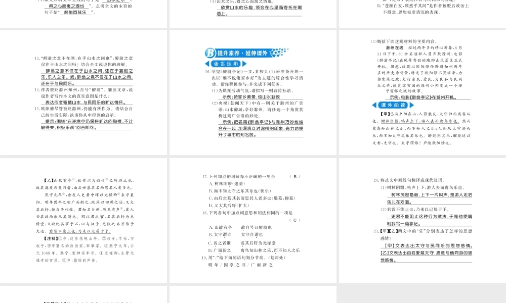 （广西专版）九年级语文上册 第三单元 第11课 醉翁亭记习题课件 新人教版-新人教版初中九年级上册语文课件