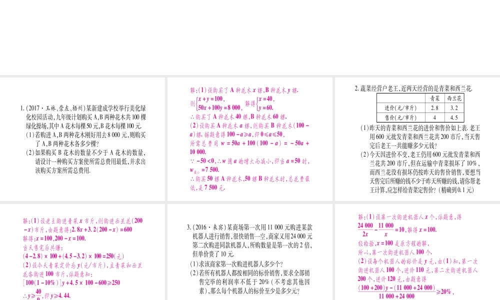 （广西北部湾专版）中考数学总复习 第二轮 中档题突破 专项突破2 实际应用与方案设计课件 新人教版-新人教版初中九年级全册数学课件
