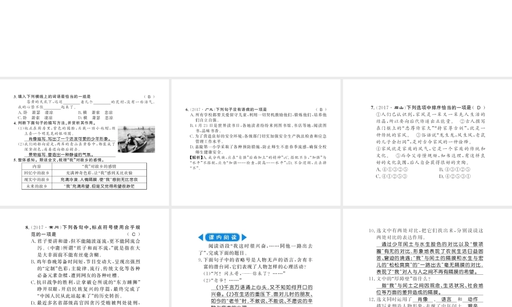 （广西专版）九年级语文上册 第四单元 14故乡习题课件 新人教版-新人教版初中九年级上册语文课件