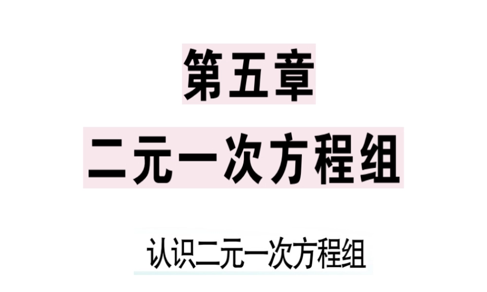 （广东专级数学上册 第五章《二元一次方程组》5.1 认识二元一次方程组习题讲评课件 （新版）北师大版-（新版）北师大级上册数学课件