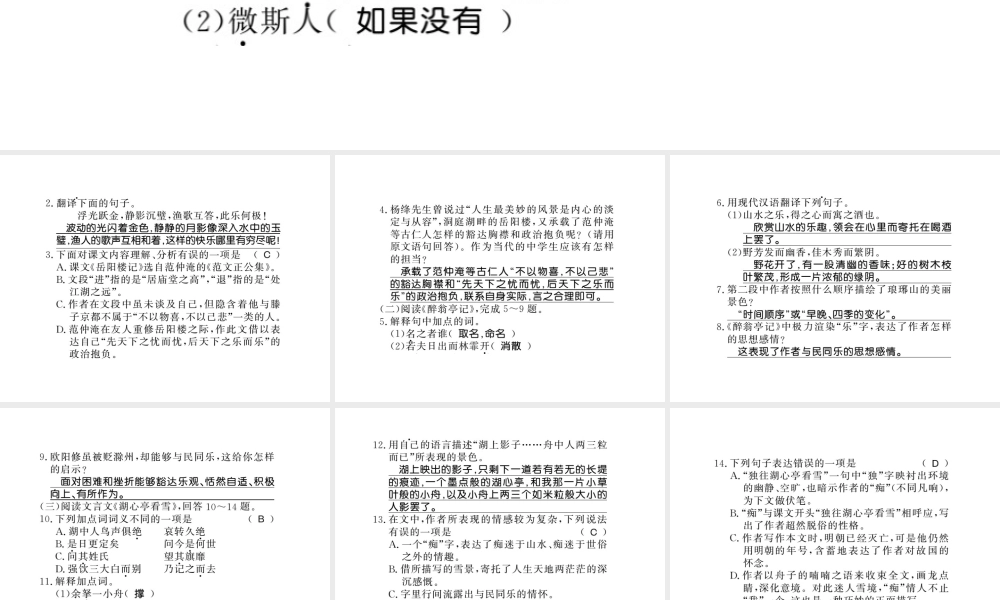 （广西专版）九年级语文上册 专题九习题课件 新人教版)-新人教版初中九年级上册语文课件