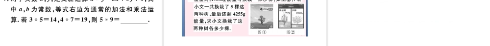 （广东级数学下册 第八章 二元一次方程组 8.2 消元 解二元一次方程组课件2（新版）新人教版-（新版）新人教级下册数学课件