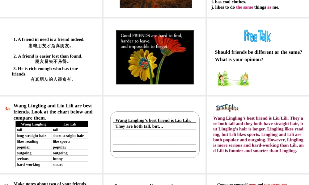 （成都专版）秋八年级英语上册 Unit 3 I’m more outgoing than my sister Section B（3a-Self Check）教学课件 （新版）人教新目标版-（新版）人教新目标版初中八年级上册英语课件