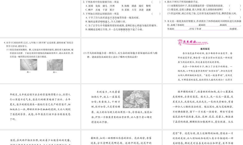 （广西专版）七年级语文上册 第1单元 3 雨的四季课件 新人教版-新人教版初中七年级上册语文课件