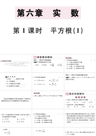 （广东级数学下册 第六章 实数 6.1平方根课件1（新版）新人教版-（新版）新人教级下册数学课件
