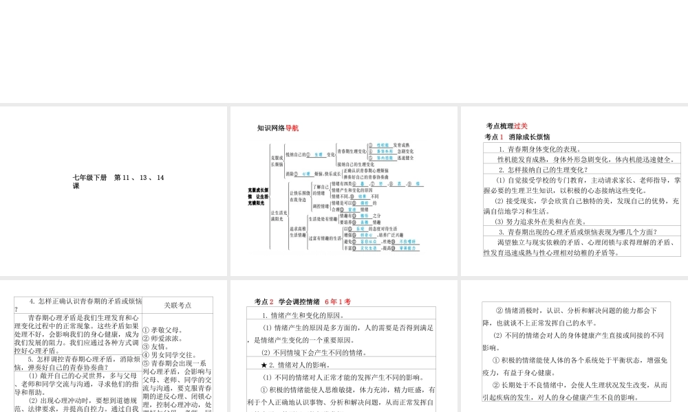 （德州专版）中考政治 第一部分 系统复习 成绩基石 主题5 克服成长烦恼 让生活充满阳光课件-人教版初中九年级全册政治课件