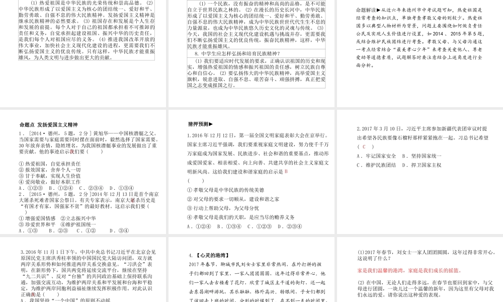 （德州专版）中考政治 第一部分 系统复习 成绩基石 主题8 爱家庭 爱国家课件-人教版初中九年级全册政治课件