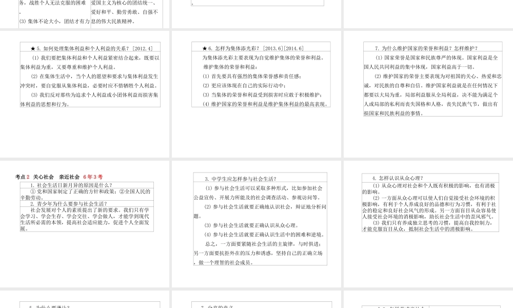 （德州专版）中考政治 第一部分 系统复习 成绩基石 主题11 热爱集体 融入社会课件-人教版初中九年级全册政治课件