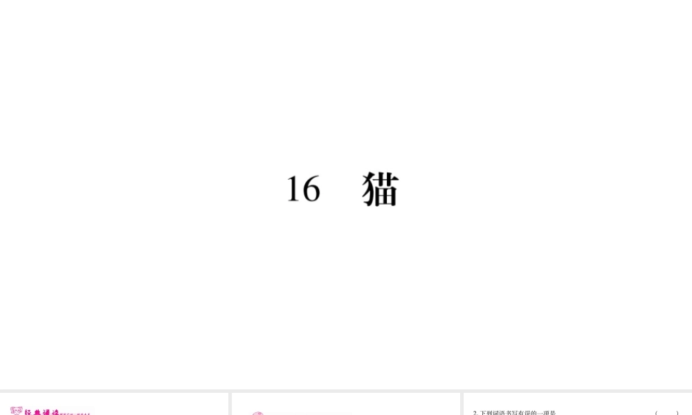 （广西专版）七年级语文上册 第5单元 16 猫课件 新人教版-新人教版初中七年级上册语文课件