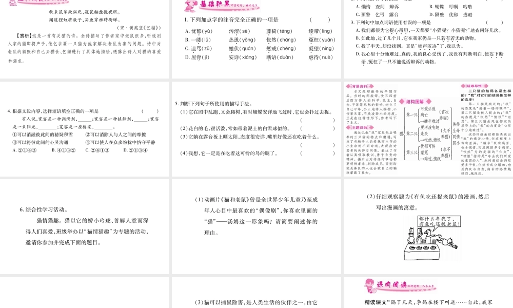 （广西专版）七年级语文上册 第5单元 16 猫课件 新人教版-新人教版初中七年级上册语文课件