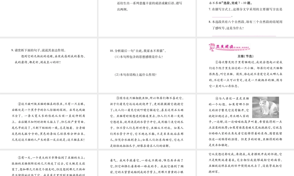 （广西专版）七年级语文上册 第5单元 16 猫课件 新人教版-新人教版初中七年级上册语文课件