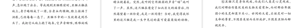 （广西专版）七年级语文上册 第5单元 16 猫课件 新人教版-新人教版初中七年级上册语文课件