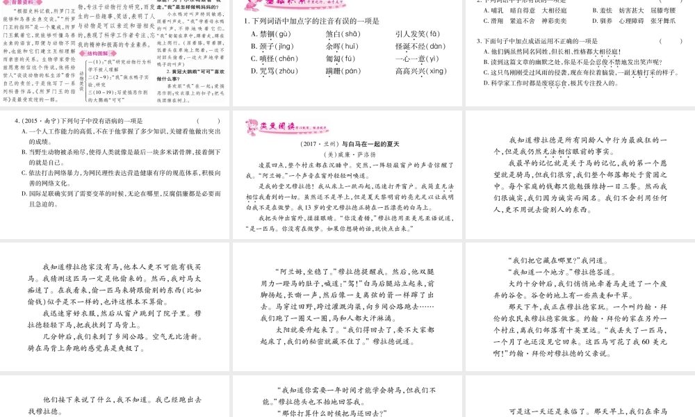 （广西专版）七年级语文上册 第5单元 17 动物笑谈课件 新人教版-新人教版初中七年级上册语文课件