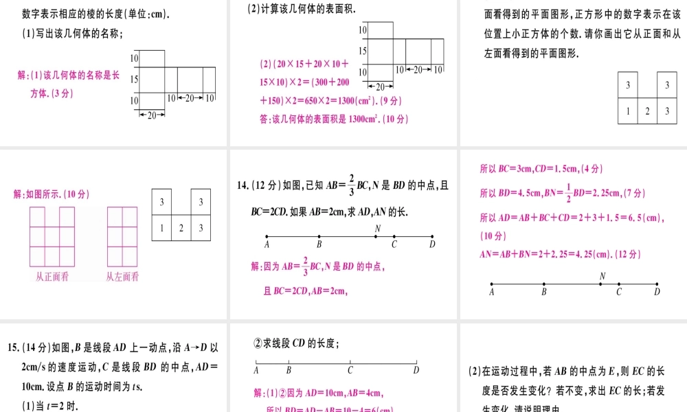 （广东专级数学上册 广东阶段综合训练九 几何图形及线段、射线、直线习题讲评课件 （新版）新人教版-（新版）新人教级上册数学课件