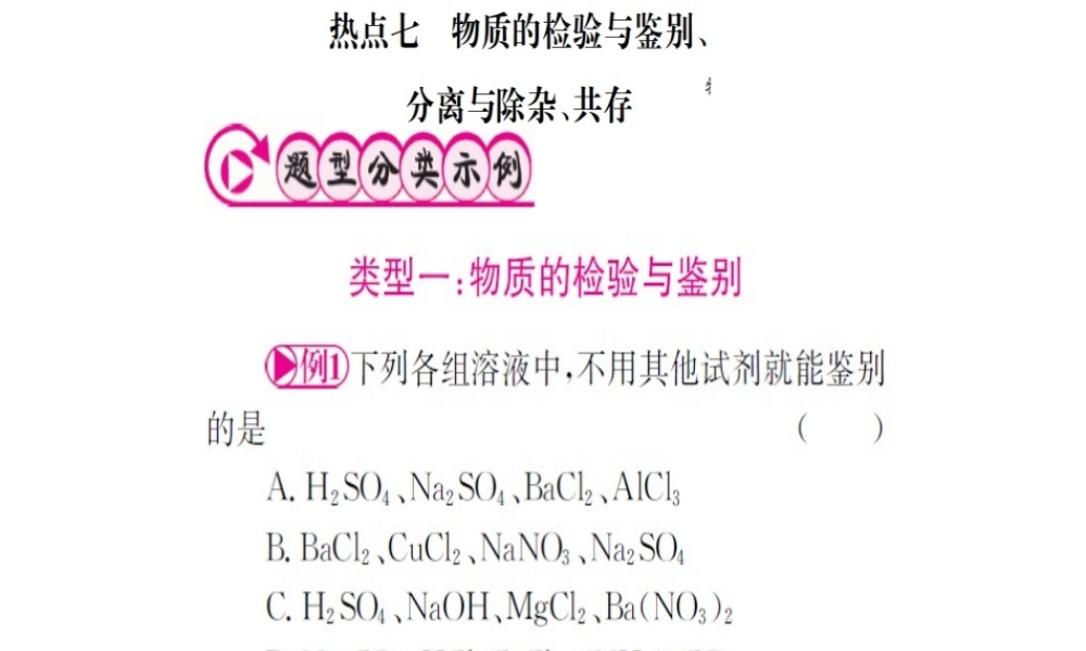 （广西专版）中考化学 第二篇 专题突破 热点七 物质的检验与鉴别、分离与除杂、共存课件-人教版初中九年级全册化学课件