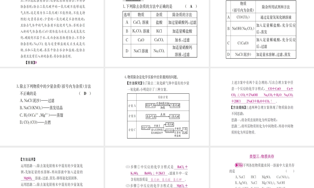（广西专版）中考化学 第二篇 专题突破 热点七 物质的检验与鉴别、分离与除杂、共存课件-人教版初中九年级全册化学课件