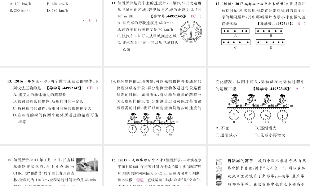 （成都专用）秋八年级物理上册 第2章 运动与能量 第3节 测量物体运动的速度 第1课时 物体运动的速度（精练）课件 （新版）教科版-（新版）教科版初中八年级上册物理课件