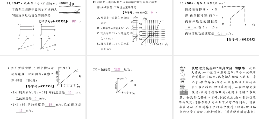 （成都专用）秋八年级物理上册 第2章 运动与能量 第3节 测量物体运动的速度 第2课时 匀速直线运动的图像及其计算（精练）课件 （新版）教科版-（新版）教科版初中八年级上册物理课件