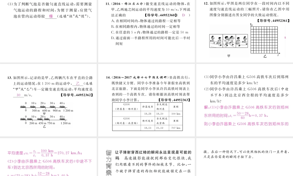 （成都专用）秋八年级物理上册 第2章 运动与能量 第3节 测量物体运动的速度 第3课时 习题课（精练）课件 （新版）教科版-（新版）教科版初中八年级上册物理课件