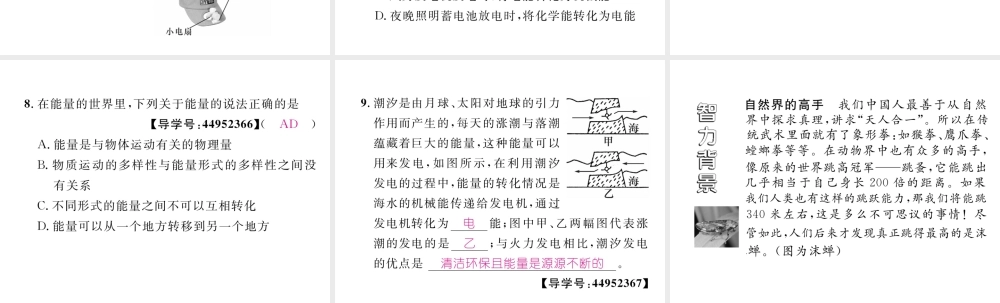 （成都专用）秋八年级物理上册 第2章 运动与能量 第4节 能量（精练）课件 （新版）教科版-（新版）教科版初中八年级上册物理课件