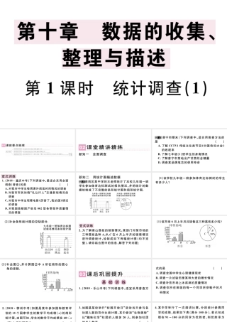 （广东级数学下册 第十章 数据的收集、整理与描述 10.1 统计调查课件1（新版）新人教版-（新版）新人教级下册数学课件
