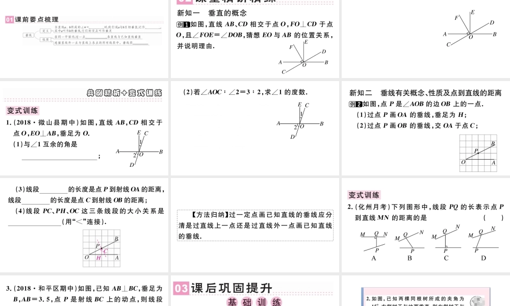 （广东级数学下册 第五章 相交线与平行线 5.1 相交线 5.1.2 垂线课件（新版）新人教版-（新版）新人教级下册数学课件