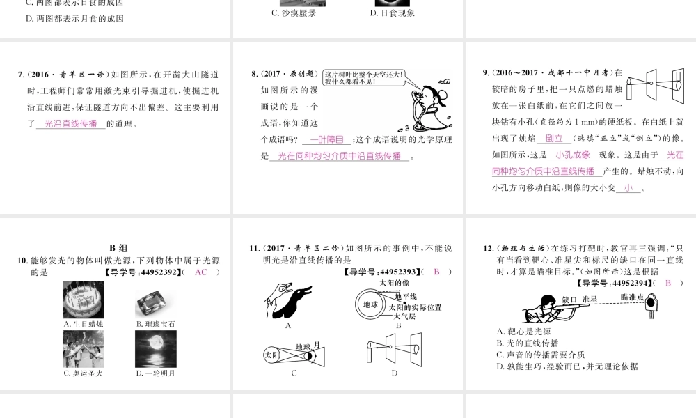 （成都专用）秋八年级物理上册 第4章 在光的世界里 第1节 光源 光的传播（精练）课件 （新版）教科版-（新版）教科版初中八年级上册物理课件