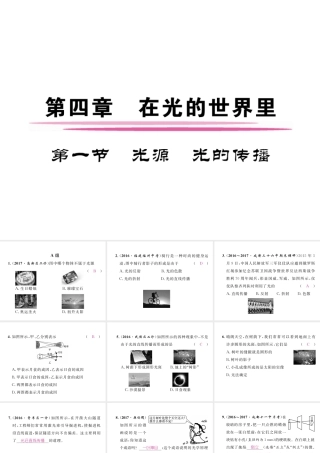 （成都专用）秋八年级物理上册 第4章 在光的世界里 第1节 光源 光的传播（精练）课件 （新版）教科版-（新版）教科版初中八年级上册物理课件