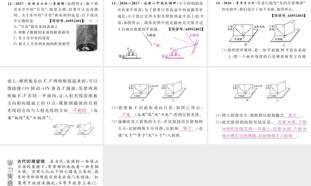 （成都专用）秋八年级物理上册 第4章 在光的世界里 第2节 光的反射定律（精练）课件 （新版）教科版-（新版）教科版初中八年级上册物理课件