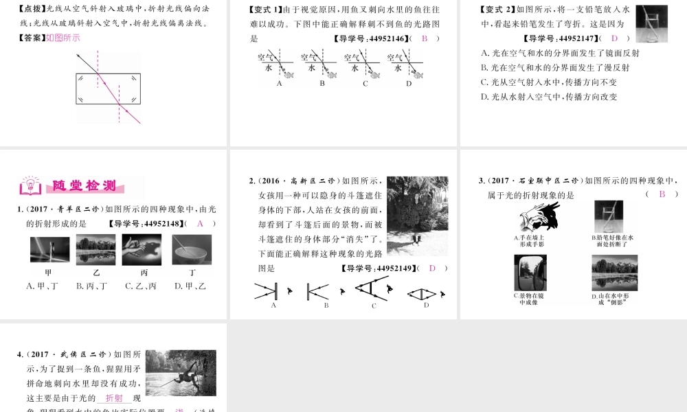 （成都专用）秋八年级物理上册 第4章 在光的世界里 第4节 光的折射（精讲）课件 （新版）教科版-（新版）教科版初中八年级上册物理课件