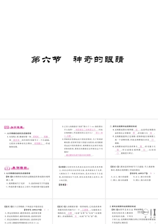 （成都专用）秋八年级物理上册 第4章 在光的世界里 第6节 神奇的眼睛（精练）课件 （新版）教科版-（新版）教科版初中八年级上册物理课件