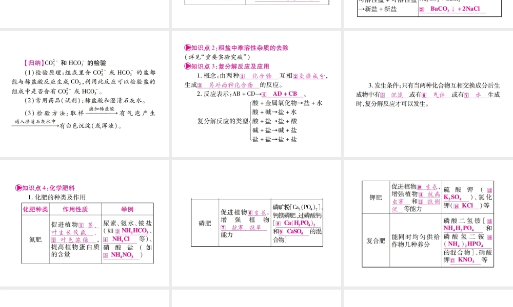 （广西专版）中考化学 第一部分 教材系统复习 第11单元 盐 化肥教学讲解课件 新人教版-新人教版初中九年级全册化学课件