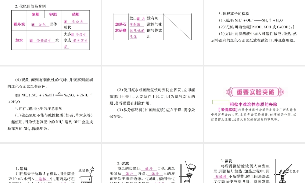 （广西专版）中考化学 第一部分 教材系统复习 第11单元 盐 化肥教学讲解课件 新人教版-新人教版初中九年级全册化学课件