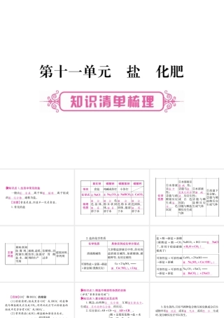 （广西专版）中考化学 第一部分 教材系统复习 第11单元 盐 化肥教学讲解课件 新人教版-新人教版初中九年级全册化学课件