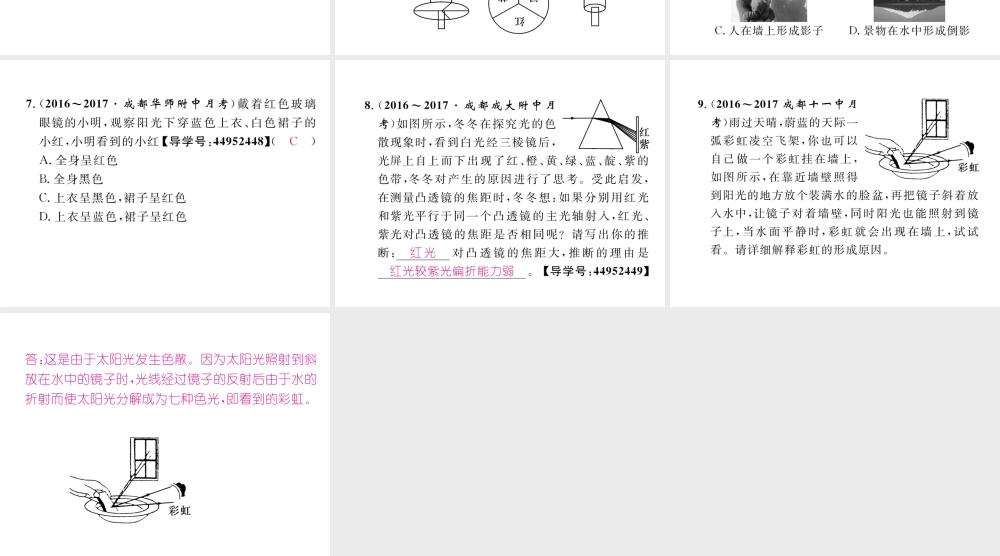 （成都专用）秋八年级物理上册 第4章 在光的世界里 第8节 走进彩色世界（精讲）课件 （新版）教科版-（新版）教科版初中八年级上册物理课件