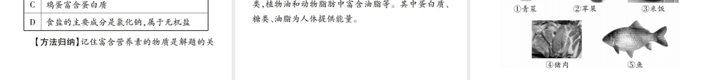 （广西专版）中考化学 第一部分 教材系统复习 第12单元 化学与生活教学讲解课件 新人教版-新人教版初中九年级全册化学课件