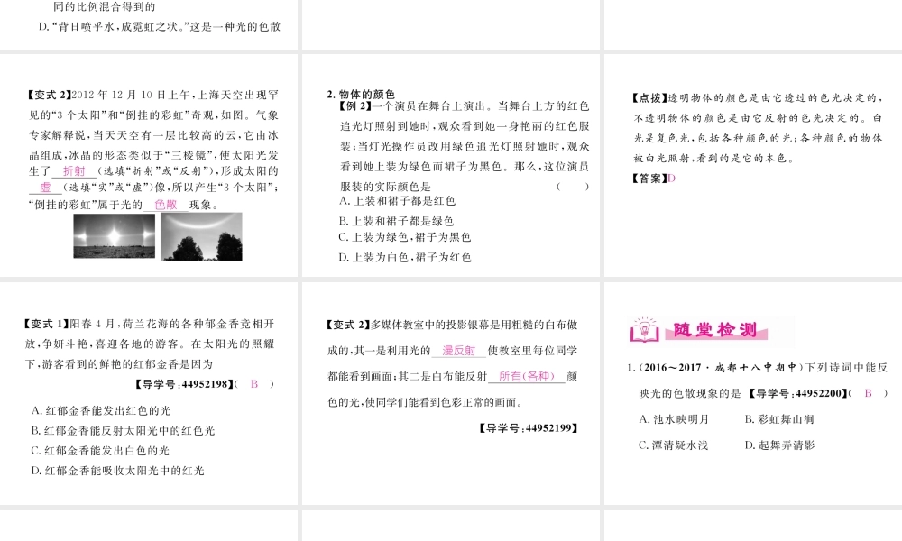 （成都专用）秋八年级物理上册 第4章 在光的世界里 第8节 走进彩色世界（精练）课件 （新版）教科版-（新版）教科版初中八年级上册物理课件