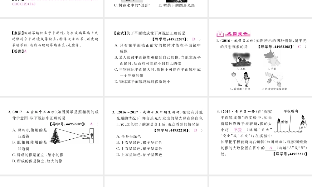 （成都专用）秋八年级物理上册 第4章 在光的世界里章末总结与提升（精讲）课件 （新版）教科版-（新版）教科版初中八年级上册物理课件
