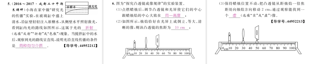 （成都专用）秋八年级物理上册 第4章 在光的世界里章末总结与提升（精讲）课件 （新版）教科版-（新版）教科版初中八年级上册物理课件
