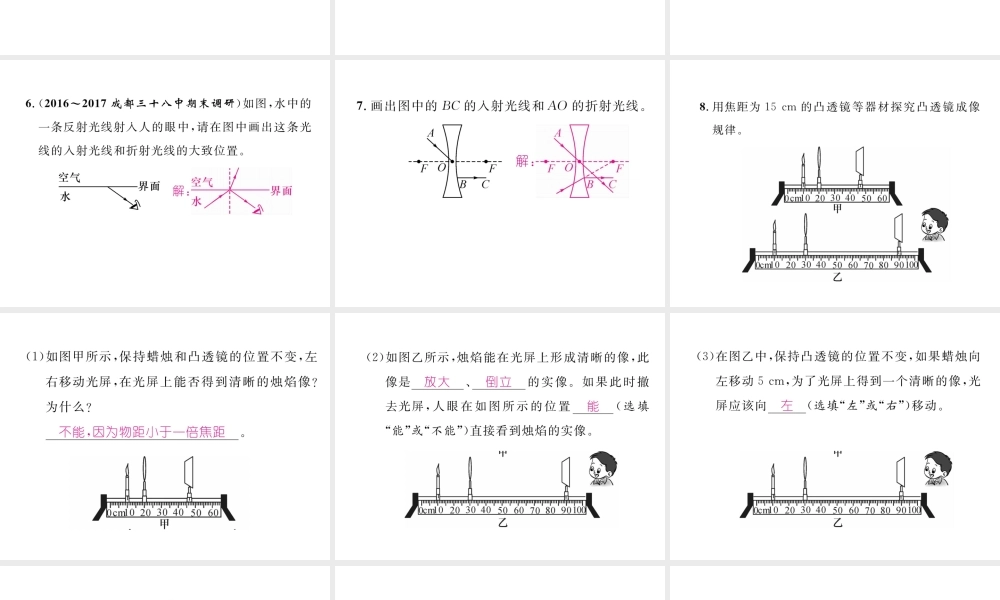 （成都专用）秋八年级物理上册 第4章 在光的世界里章末总结与提升（精练）课件 （新版）教科版-（新版）教科版初中八年级上册物理课件
