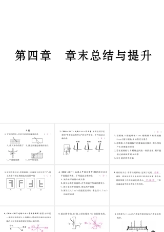 （成都专用）秋八年级物理上册 第4章 在光的世界里章末总结与提升（精练）课件 （新版）教科版-（新版）教科版初中八年级上册物理课件
