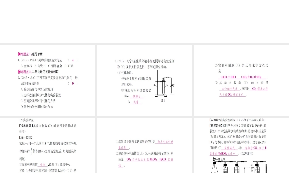 （广西专版）中考化学 第一篇 考点系统复习 第六单元 碳和碳的氧化物课件-人教版初中九年级全册化学课件
