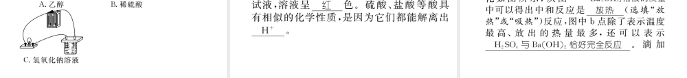 （怀化专版）中考化学命题研究 第一编 教材知识梳理篇 第十单元 酸和碱（精练）课件-人教版初中九年级全册化学课件