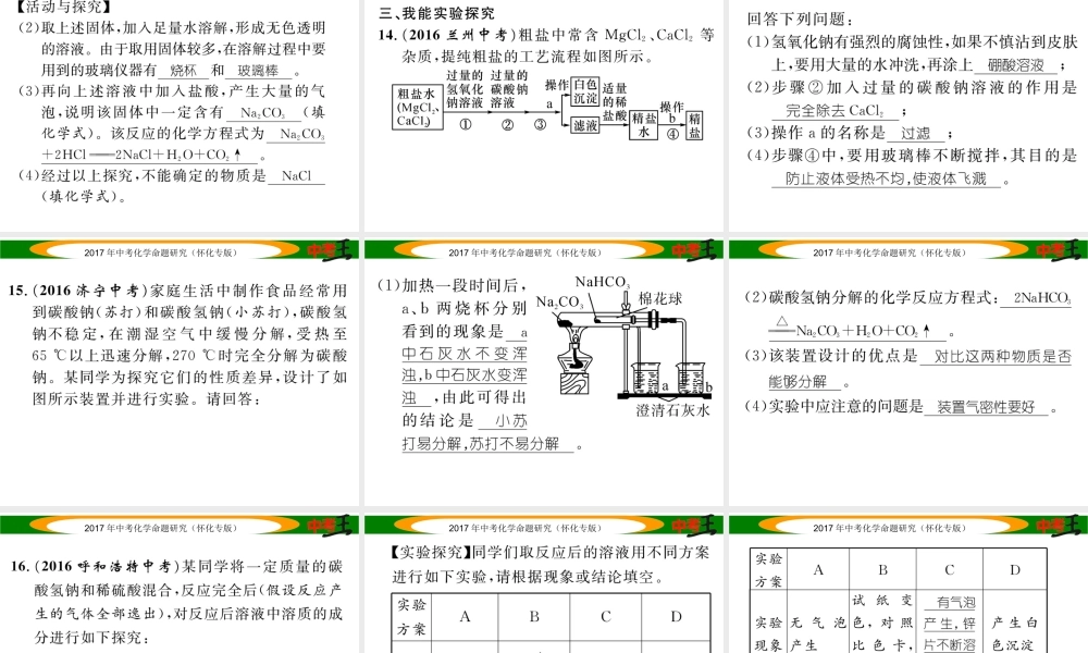 （怀化专版）中考化学命题研究 第一编 教材知识梳理篇 第十一单元 盐 化肥（精练）课件-人教版初中九年级全册化学课件