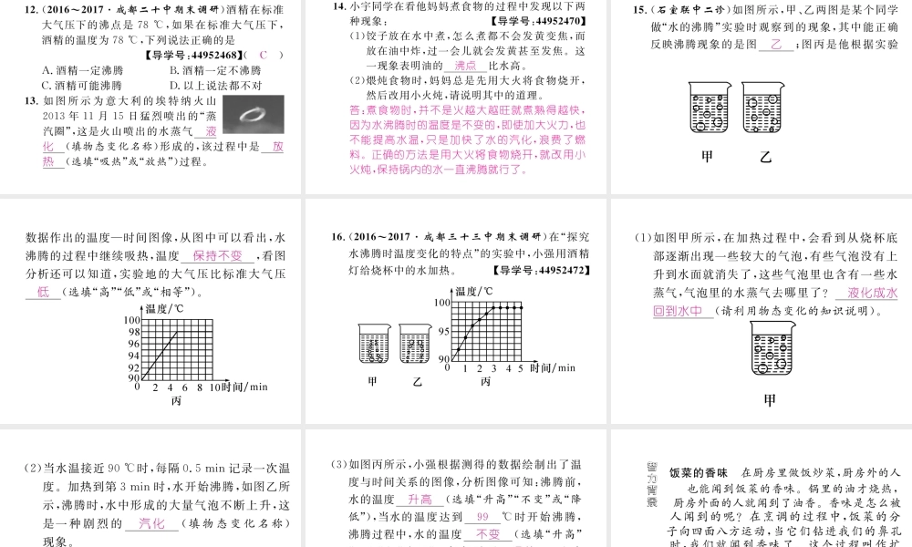 （成都专用）秋八年级物理上册 第5章 物态变化 第3节 汽化和液化 第1课时 汽化（精练）课件 （新版）教科版-（新版）教科版初中八年级上册物理课件