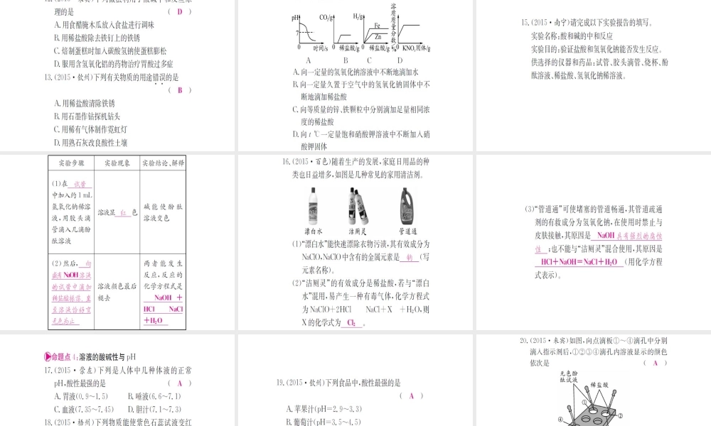 （广西专版）中考化学 第一篇 考点系统复习 第十单元 酸和碱课件-人教版初中九年级全册化学课件