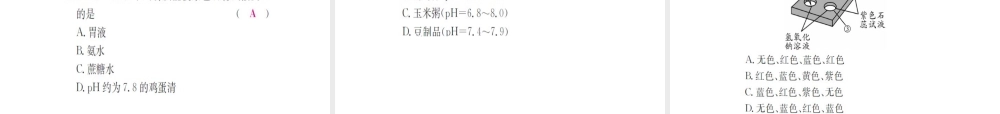 （广西专版）中考化学 第一篇 考点系统复习 第十单元 酸和碱课件-人教版初中九年级全册化学课件