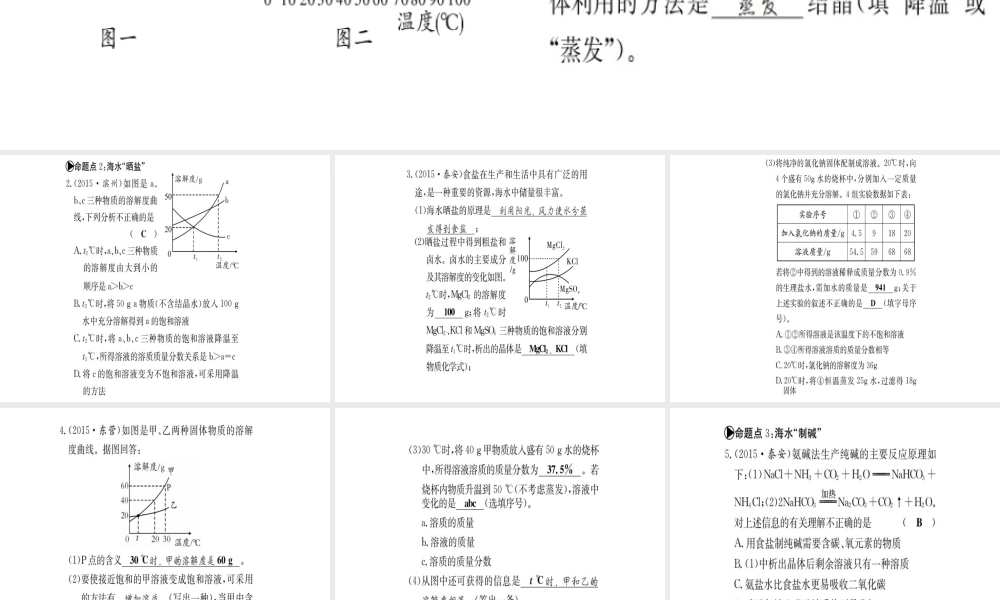 （广西专版）中考化学 考点系统复习 第八单元 海水中的化学课件 鲁教版-鲁教版初中九年级全册化学课件