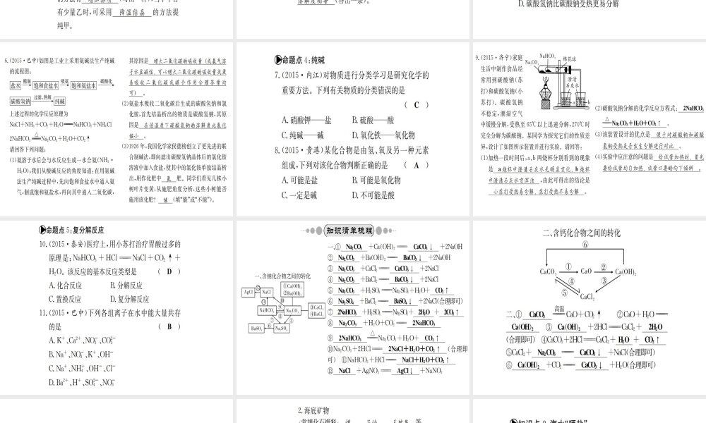 （广西专版）中考化学 考点系统复习 第八单元 海水中的化学课件 鲁教版-鲁教版初中九年级全册化学课件